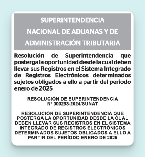 Resolución de Superintendencia N.º 293-2024
