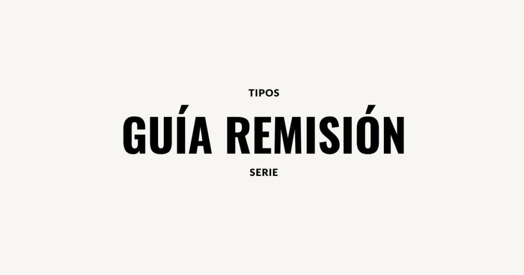 tipos serie guias remision