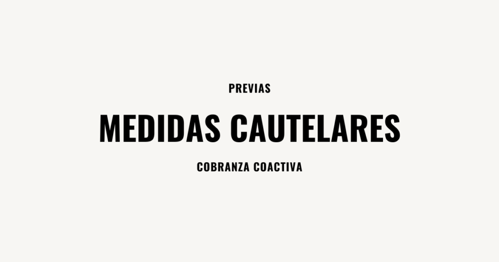 medidas cautelares preliminares