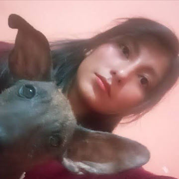 Foto de perfil de heydipatriciacuchocondori