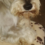 Foto de perfil de Rosario