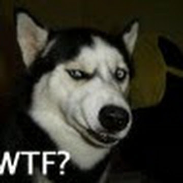 Foto de perfil de michaelguillermo