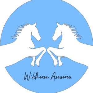 Foto de perfil de WILDHORSE