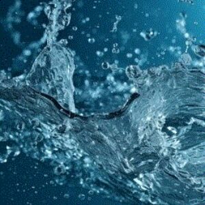 Foto de perfil de Manuel