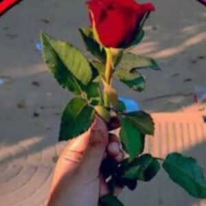 Foto de perfil de Zagaly