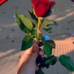 Foto de perfil de Zagaly