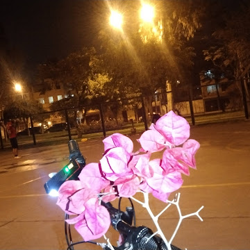 Foto de perfil de Anny