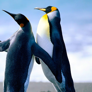 Foto de perfil de Diego Cabrera