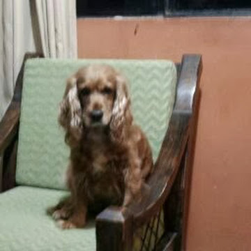 Foto de perfil de carlatoledoloayza