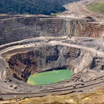 Foto de perfil de Alexis