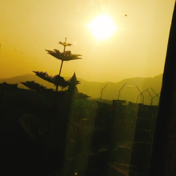 Foto de perfil de ELIZABETH