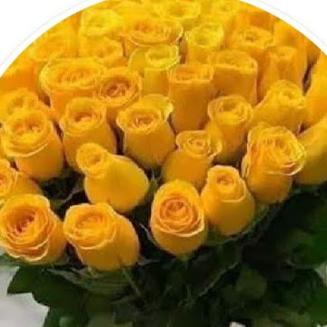 Foto de perfil de ANGELICA BEATRIZ ARRUE SOTO