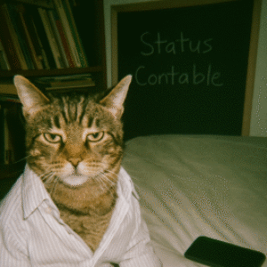 Foto de perfil de Status Contable