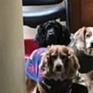 Foto de perfil de Yacko