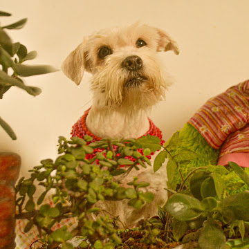 Foto de perfil de Mayra