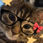 Foto de perfil de Mary L.