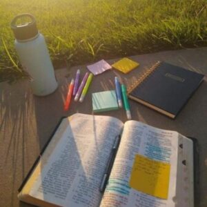 Foto de perfil de MARISELA