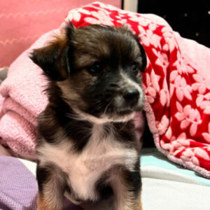 Foto de perfil de Yahaira