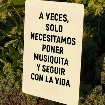 Foto de perfil de SILVIA DIANA ROJAS VALLADARES