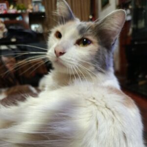 Foto de perfil de Sandra