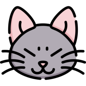 Foto de perfil de Jose