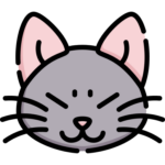 Foto de perfil de Jose