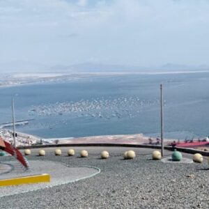 Foto de perfil de RAUL IGNACIO