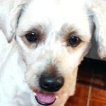 Foto de perfil de florsarmiento