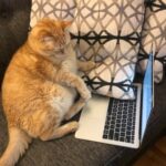 Foto de perfil de Jhair