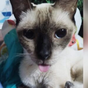 Foto de perfil de ROGGER