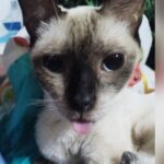 Foto de perfil de ROGGER